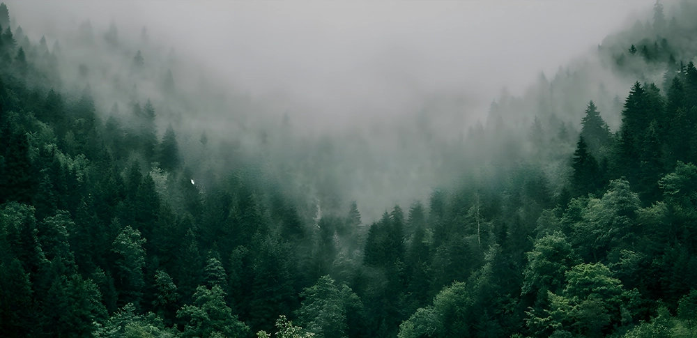 Sustainability banner
