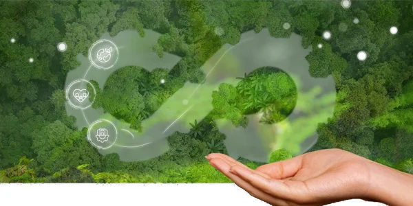 Leave Bottled Water Behind: A New Era of Sustainable Sparkling Water Dispensers